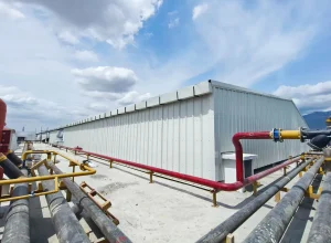 WhatsApp Image 2026-08-08 at 4.10.59 PM copy 2