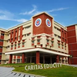caritas-img-educityy-steel-construction-company