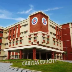 caritas-img-educity-steel-construction-company