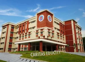 caritas-img-educity-steel-construction-company