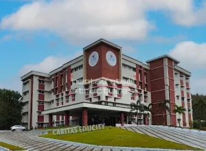 caritas-educity-steel-img-construction-company