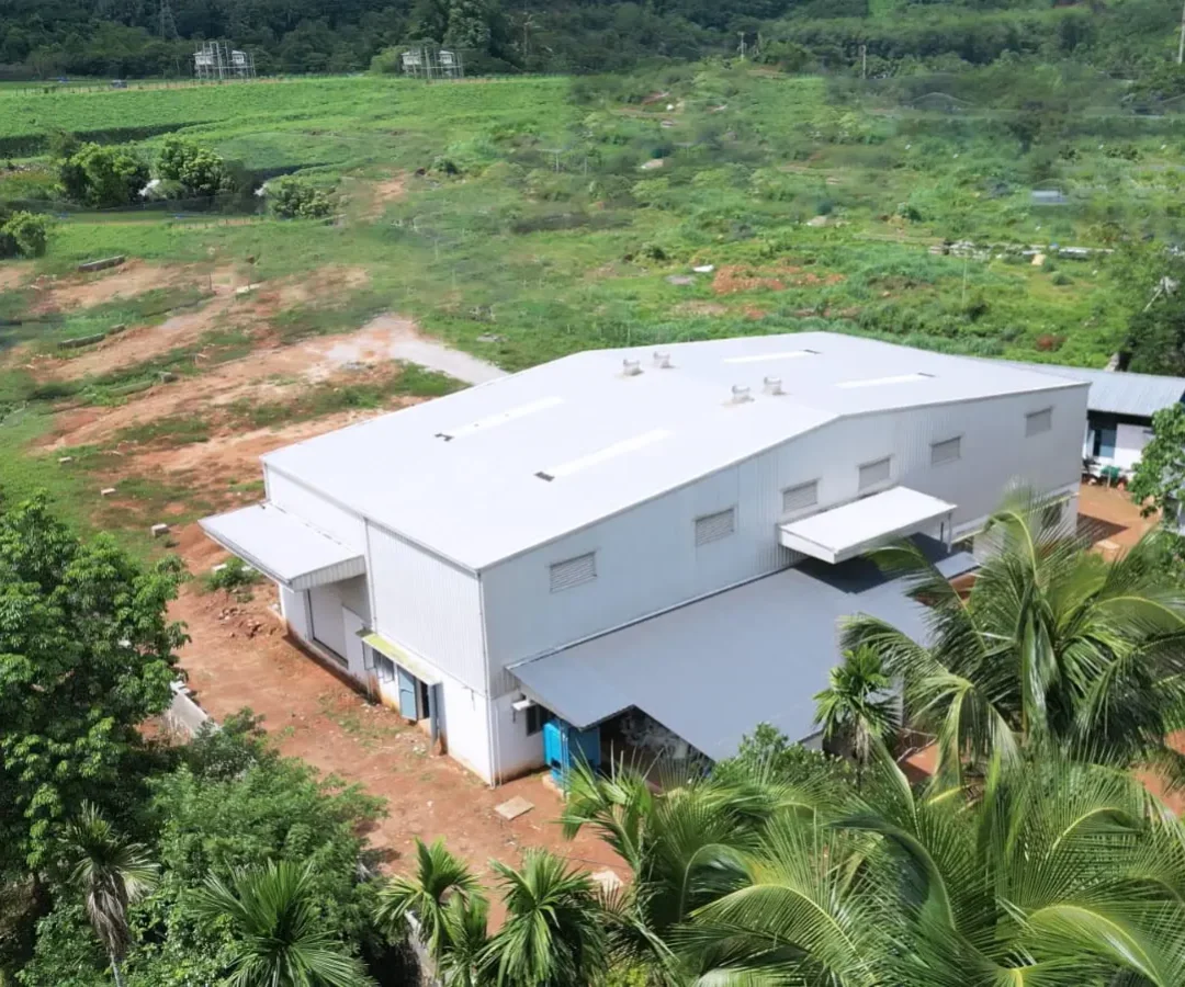 kinalur-1.webp